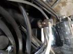 2004 HARLEY-DAVIDSON FLSTF    for sale at Copart PA - PITTSBURGH WEST