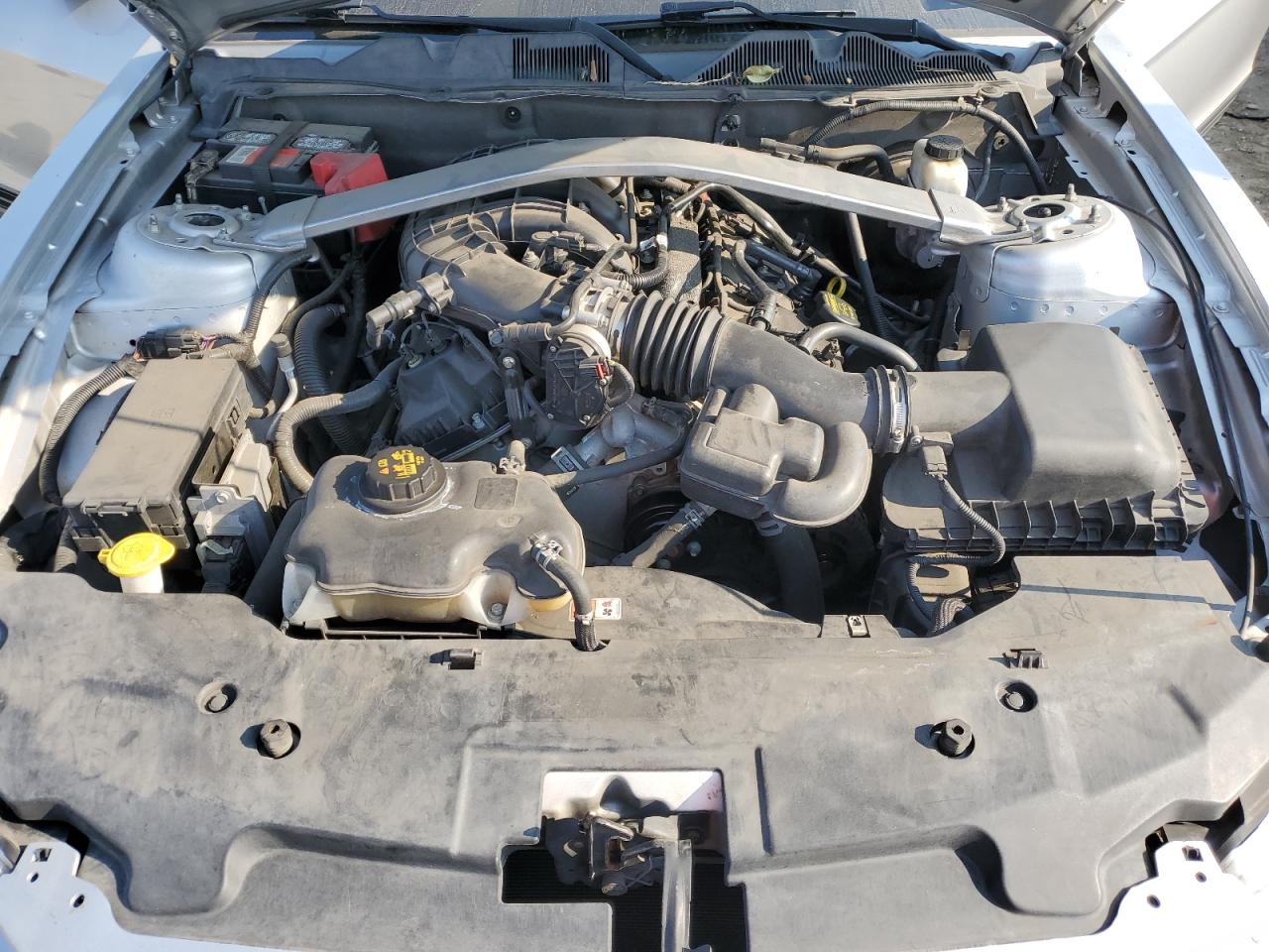 2011 Ford Mustang VIN: 1ZVBP8EM6B5119902 Lot: 64251985