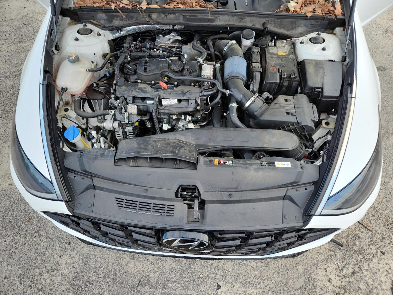 2022 Hyundai Sonata Sel Plus VIN: KMHL44J23NA235420 Lot: 63339465