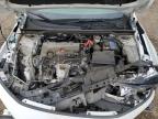 2023 HONDA CIVIC SPORT   for sale at Copart ON - COOKSTOWN