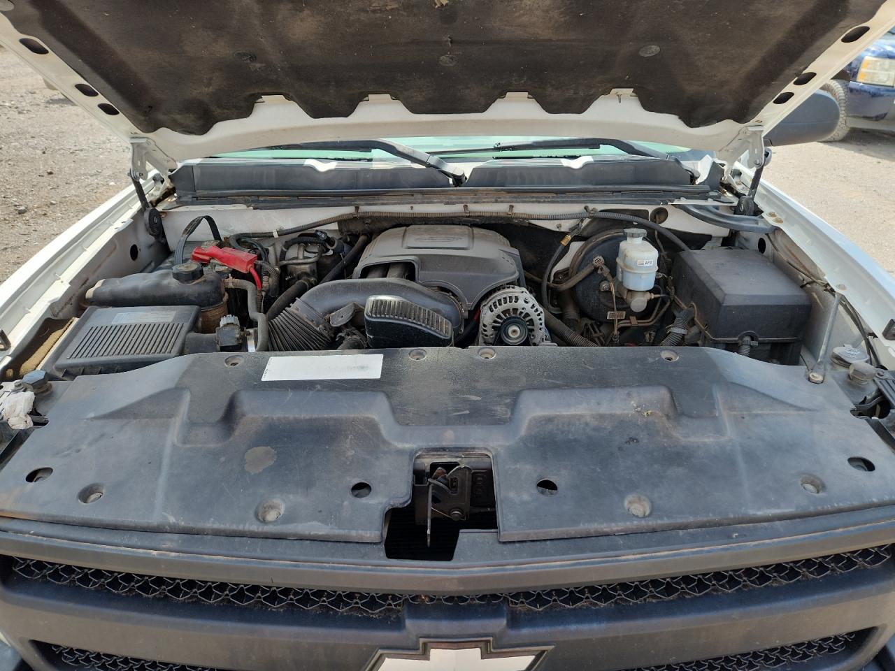 2010 Chevrolet Silverado C1500 VIN: 1GCSCPE02AZ249219 Lot: 64620825