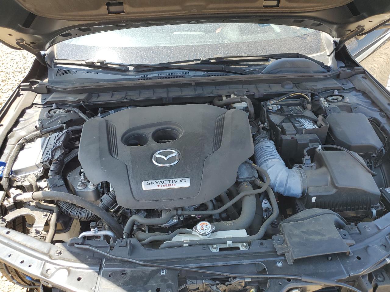 2023 Mazda 3 Premium Plus VIN: JM1BPBNY9P1609784 Lot: 66129665