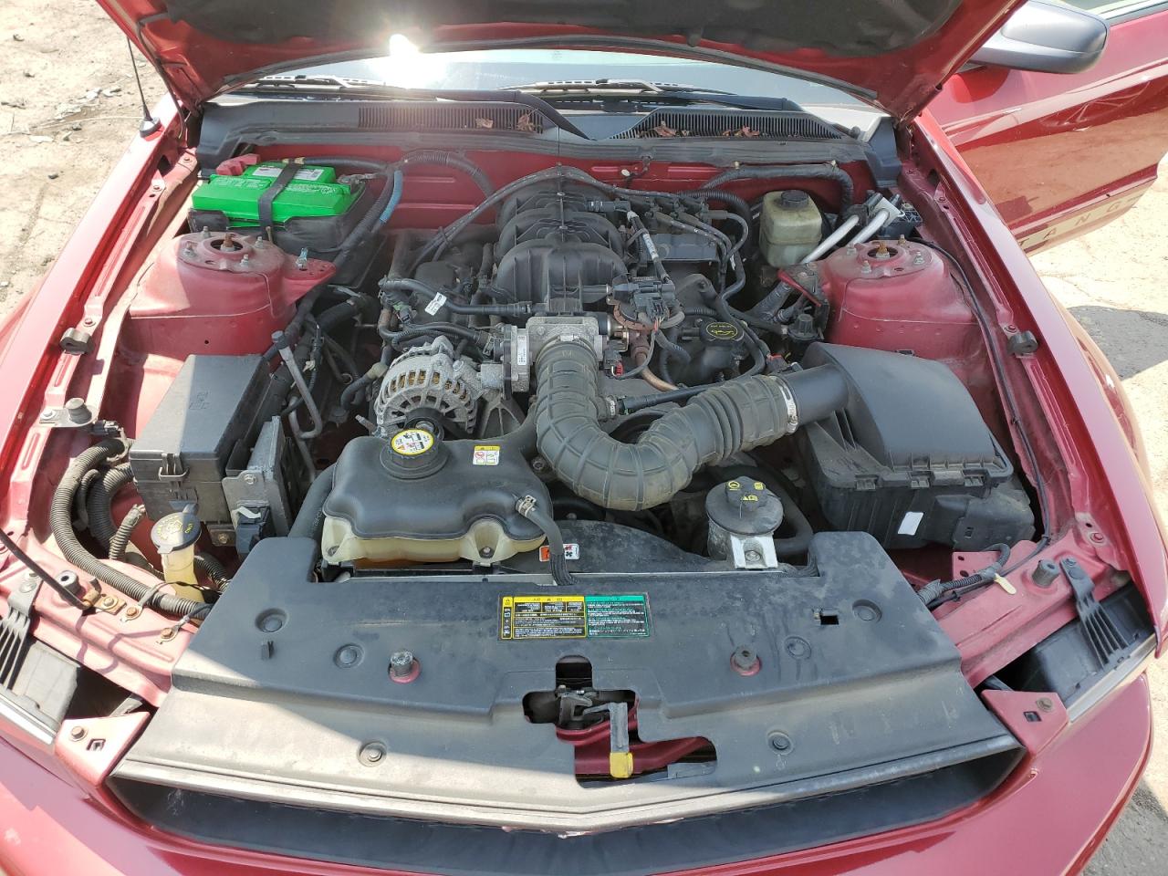 2006 Ford Mustang VIN: 1ZVFT80NX65114303 Lot: 63970205