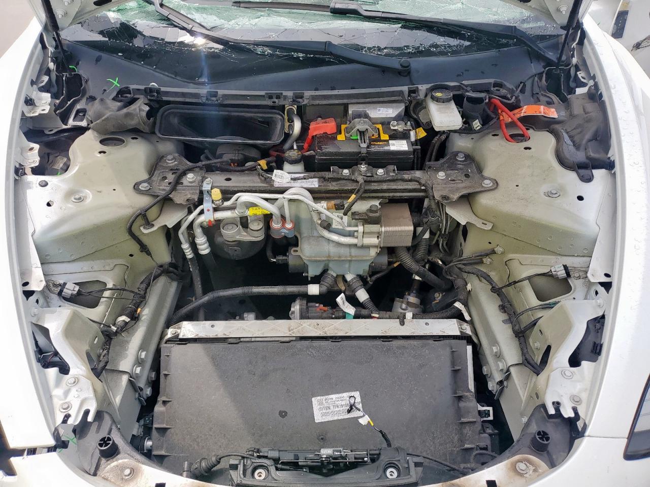2019 Tesla Model 3 VIN: 5YJ3E1EA8KF362779 Lot: 64769455
