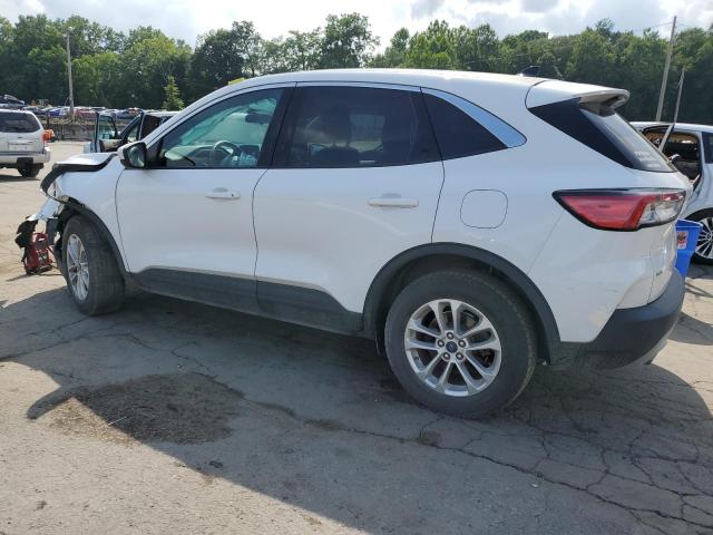  FORD ESCAPE 2020 Белы