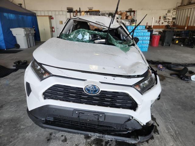  TOYOTA RAV4 2020 Белы