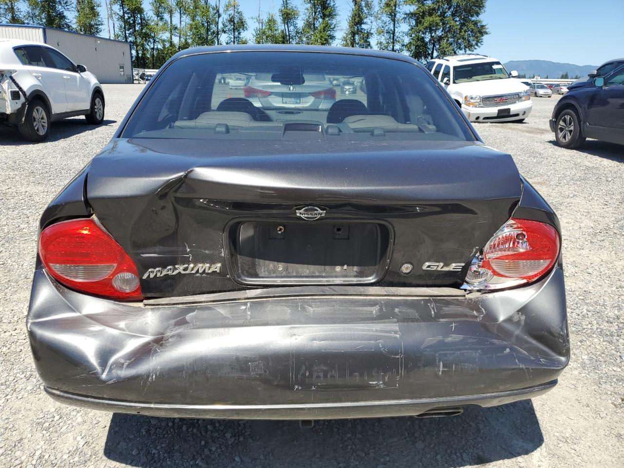 2001 Nissan Maxima Gxe VIN: JN1CA31D91T615341 Lot: 63413935