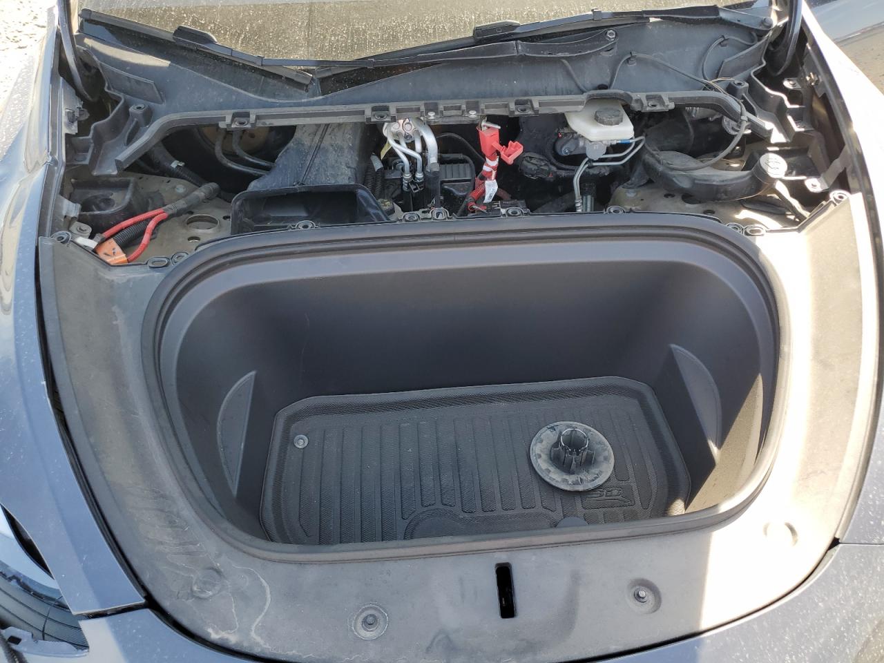 2023 Tesla Model Y VIN: 7SAYGDEF7PF897626 Lot: 64593865