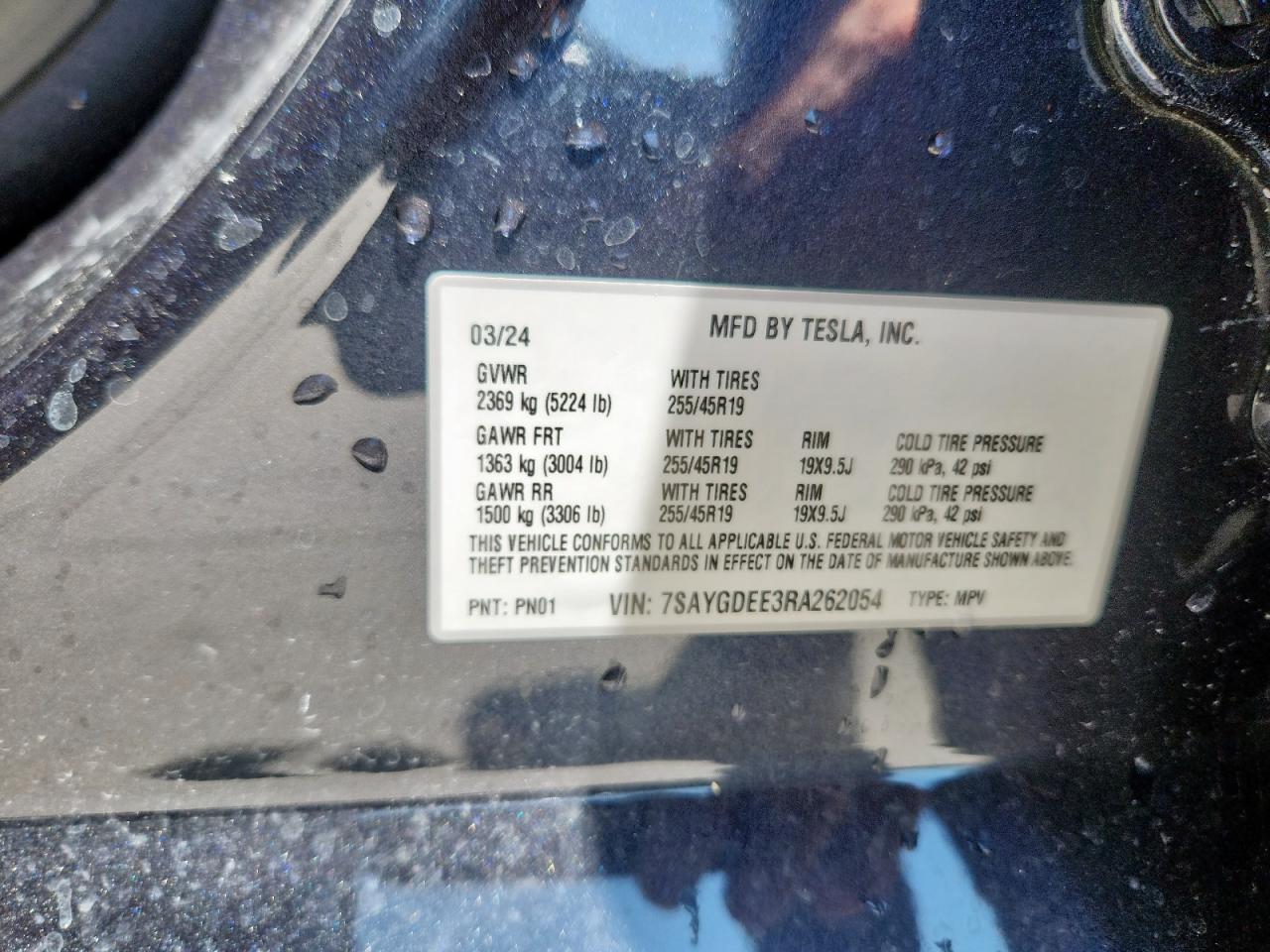 2024 Tesla Model Y VIN: 7SAYGDEE3RA262054 Lot: 64806655