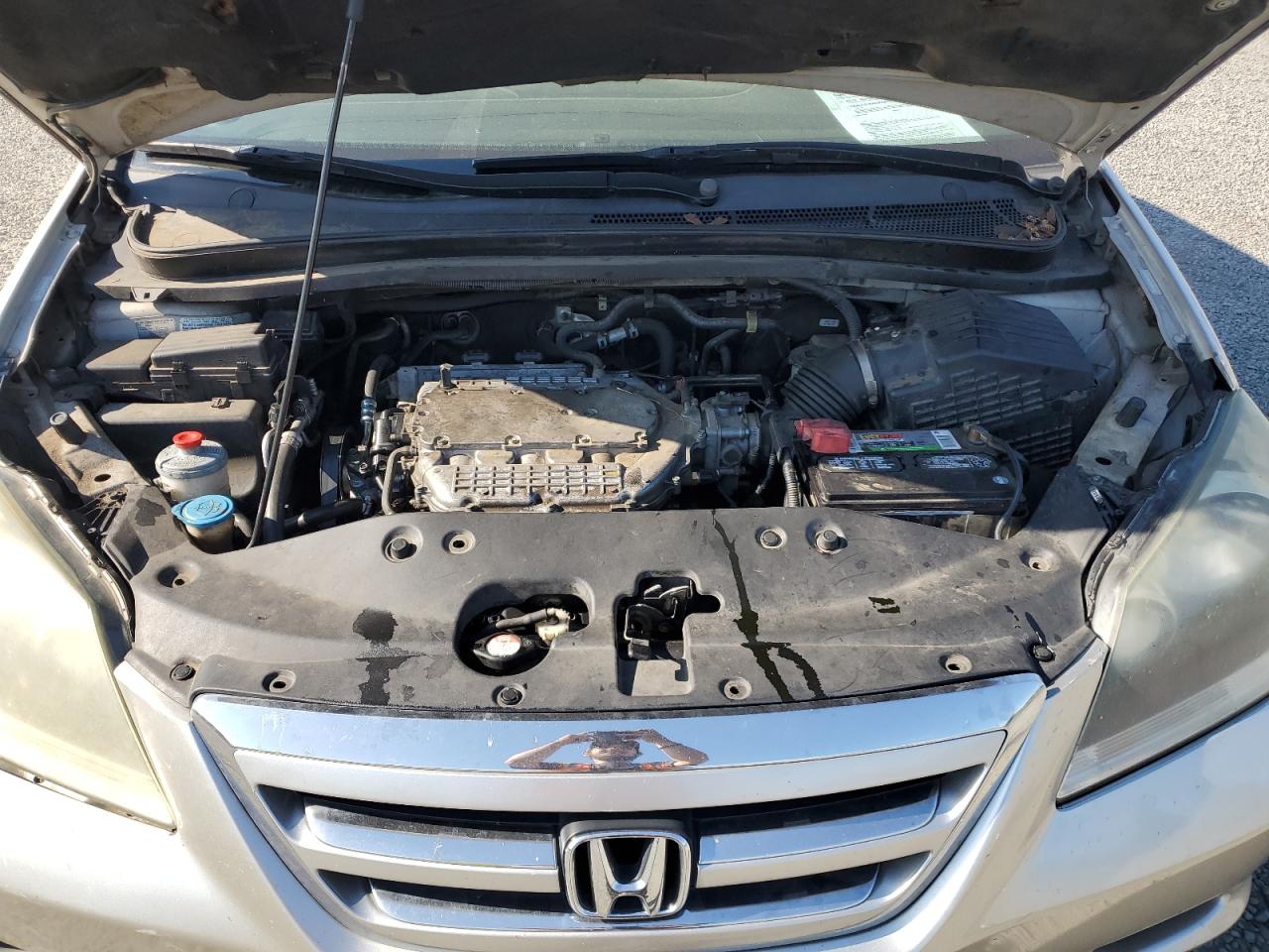 2007 Honda Odyssey Exl VIN: 5FNRL38717B422131 Lot: 63208635