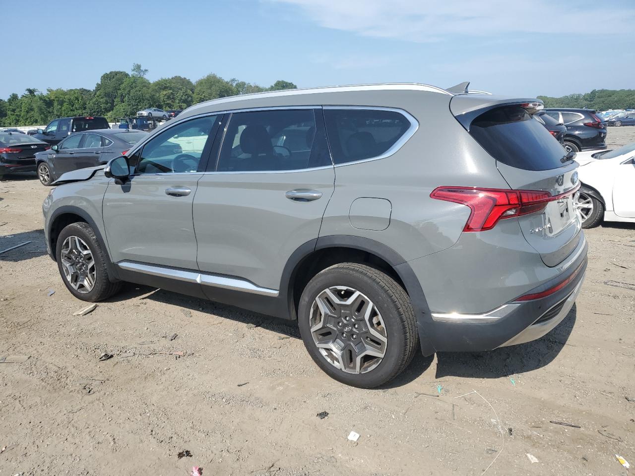 2023 Hyundai Santa Fe Limited VIN: 5NMS5DA16PH004895 Lot: 66375995