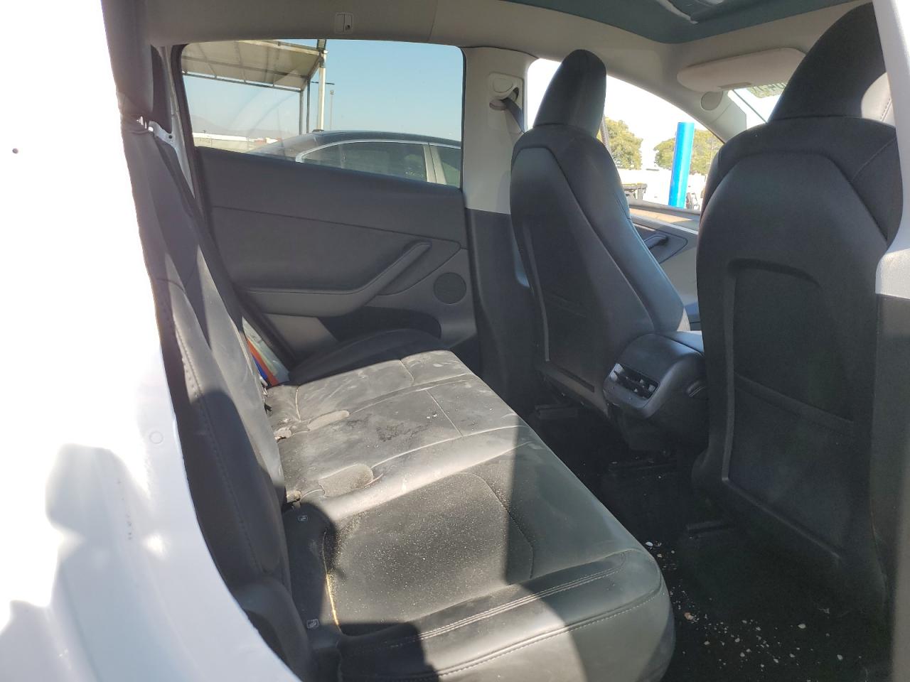2023 Tesla Model Y VIN: 7SAYGDEE7PA079382 Lot: 64139845