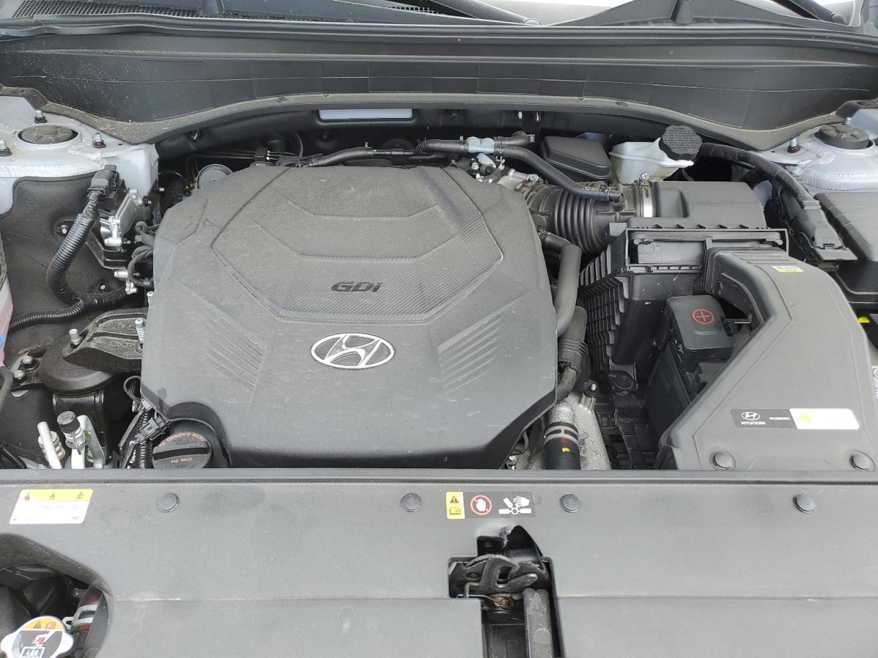 2025 Hyundai Palisade Calligraphy VIN: KM8R7DGE0SU865652 Lot: 66924325