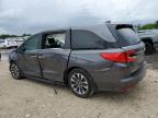 2022 HONDA ODYSSEY EXL   for sale at Copart FL - MIAMI SOUTH