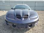 2002 PONTIAC FIREBIRD TRANS AM   for sale at Copart ON - OTTAWA