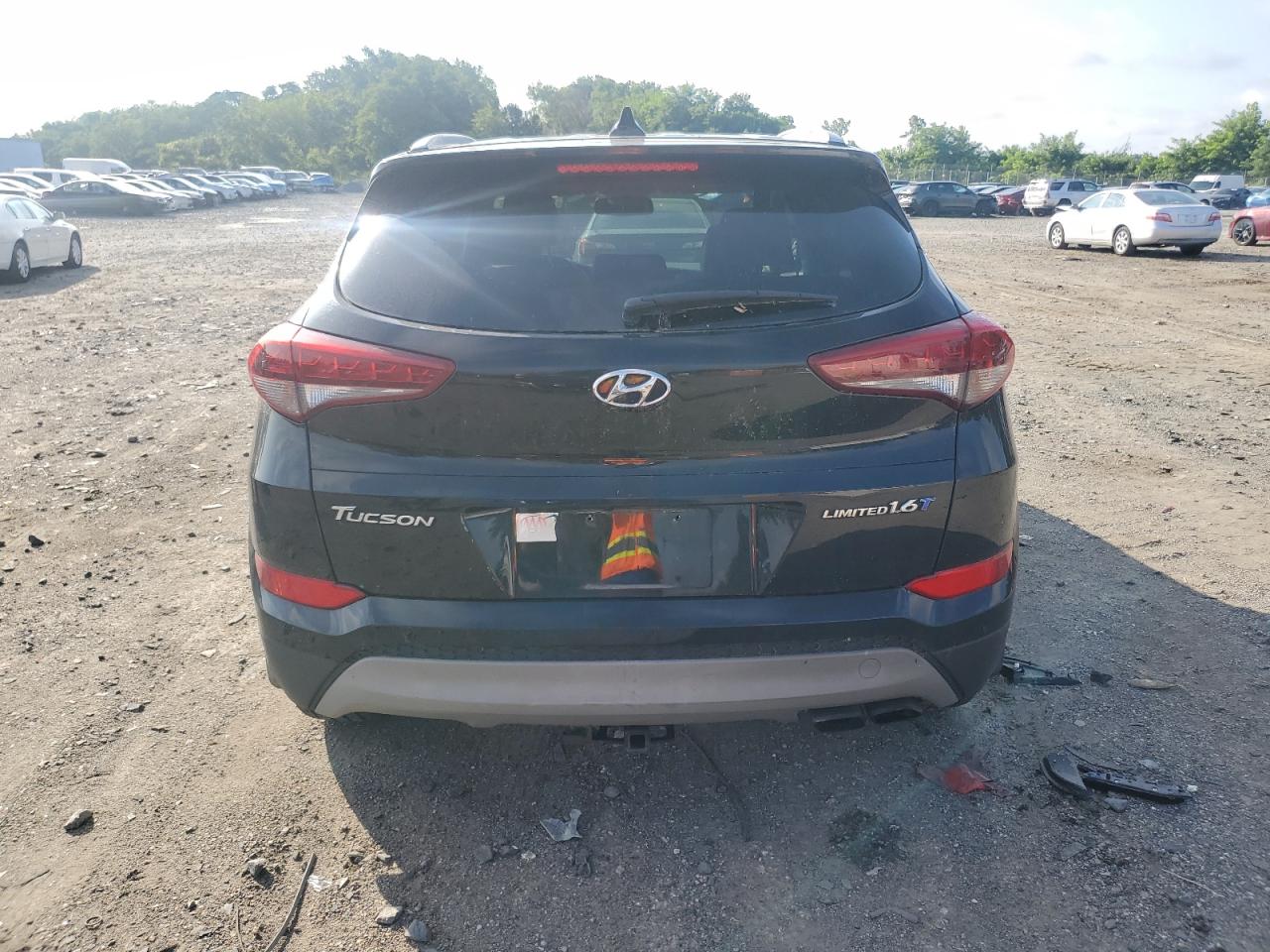 2017 Hyundai Tucson Limited VIN: KM8J33A24HU276338 Lot: 64776705