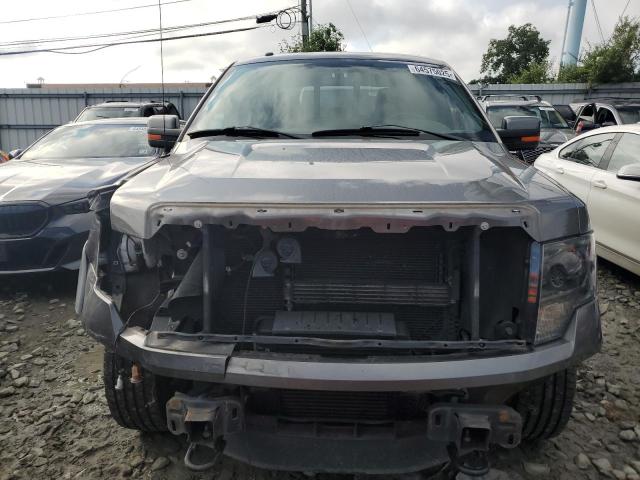 Pickups FORD F-150 2014 Szary