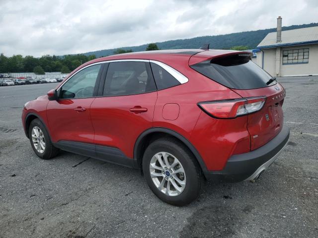  FORD ESCAPE 2020 Czerwony