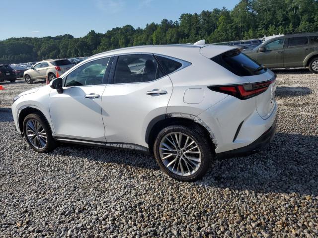  LEXUS NX 350 2022 Biały