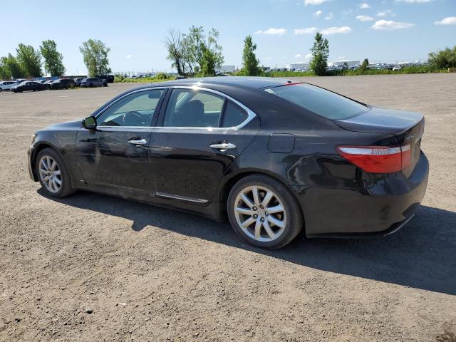 2007 LEXUS LS 460  