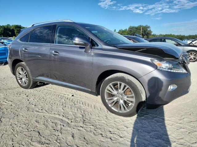  LEXUS RX350 2014 Szary
