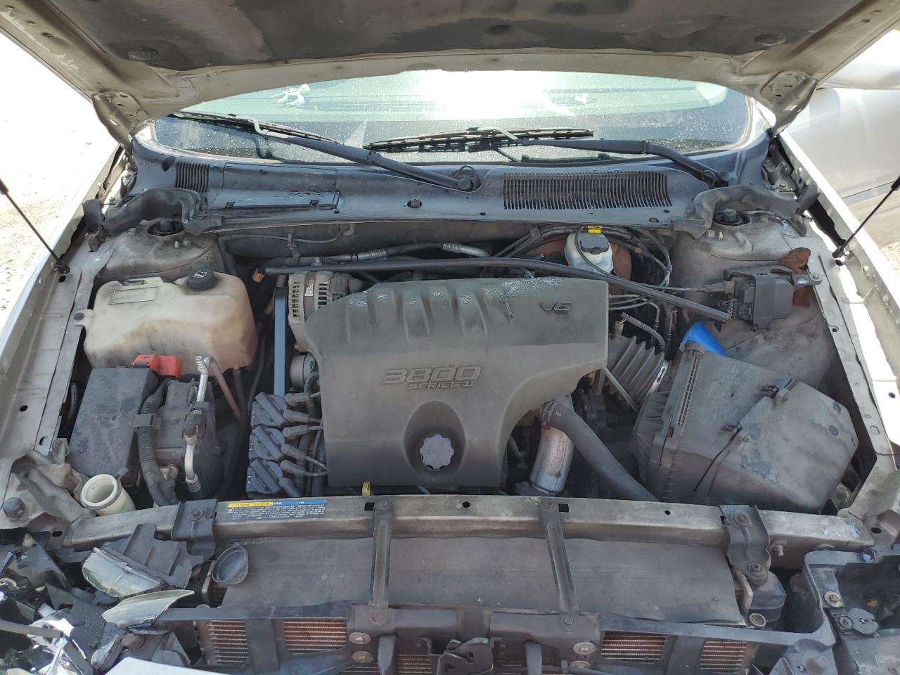 2004 Buick Lesabre Custom VIN: 1G4HP52K244175631 Lot: 63204125