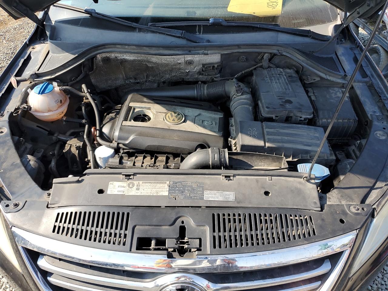 2011 Volkswagen Tiguan S VIN: WVGAV7AX2BW556977 Lot: 64801375