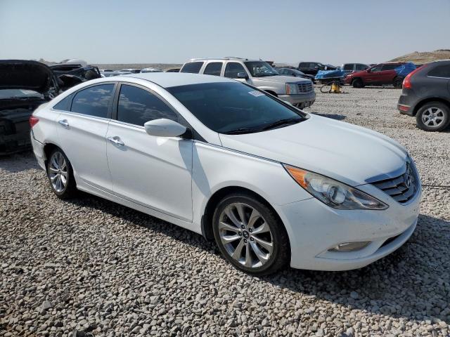  HYUNDAI SONATA 2013 Biały