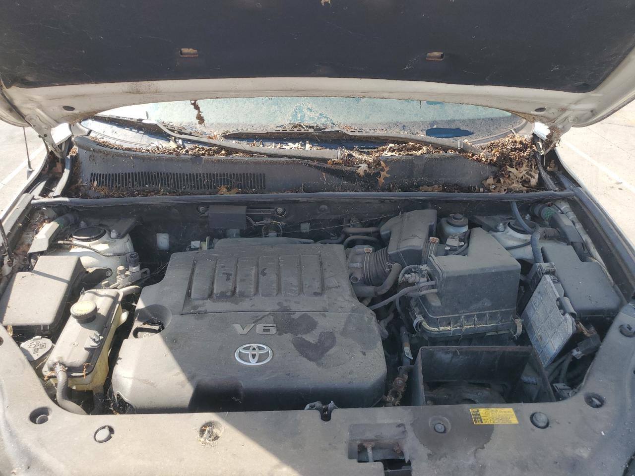 2008 Toyota Rav4 Limited VIN: JTMBK31V785047913 Lot: 64906615