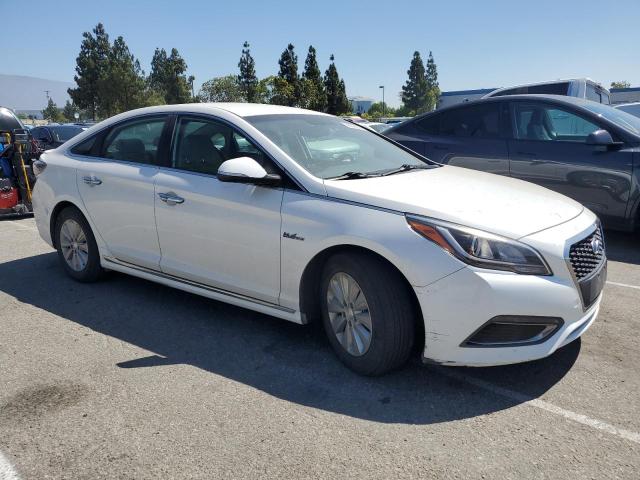Sedans HYUNDAI SONATA 2016 Biały