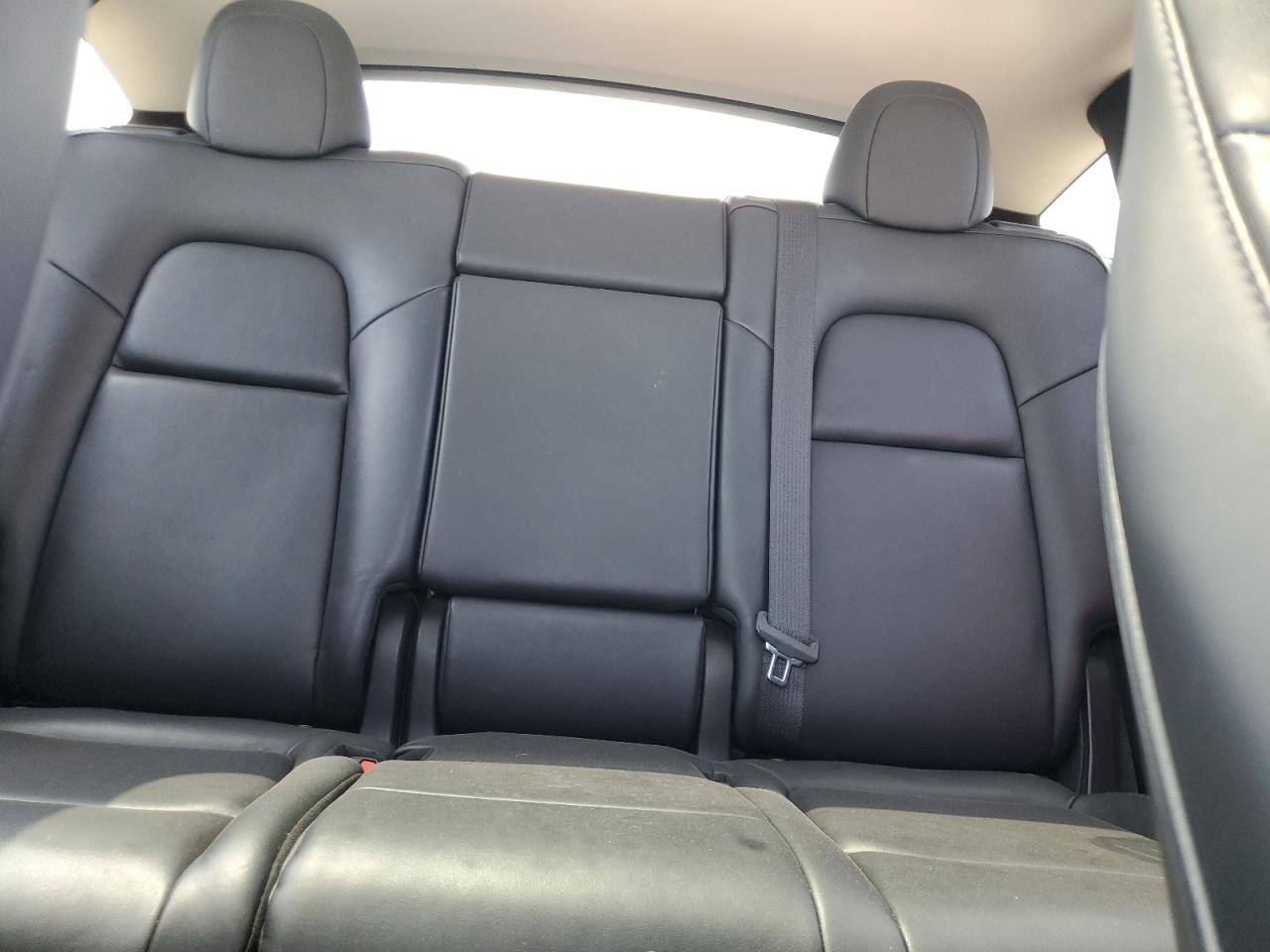 2023 Tesla Model Y VIN: 7SAYGAEE6PF796339 Lot: 63155255