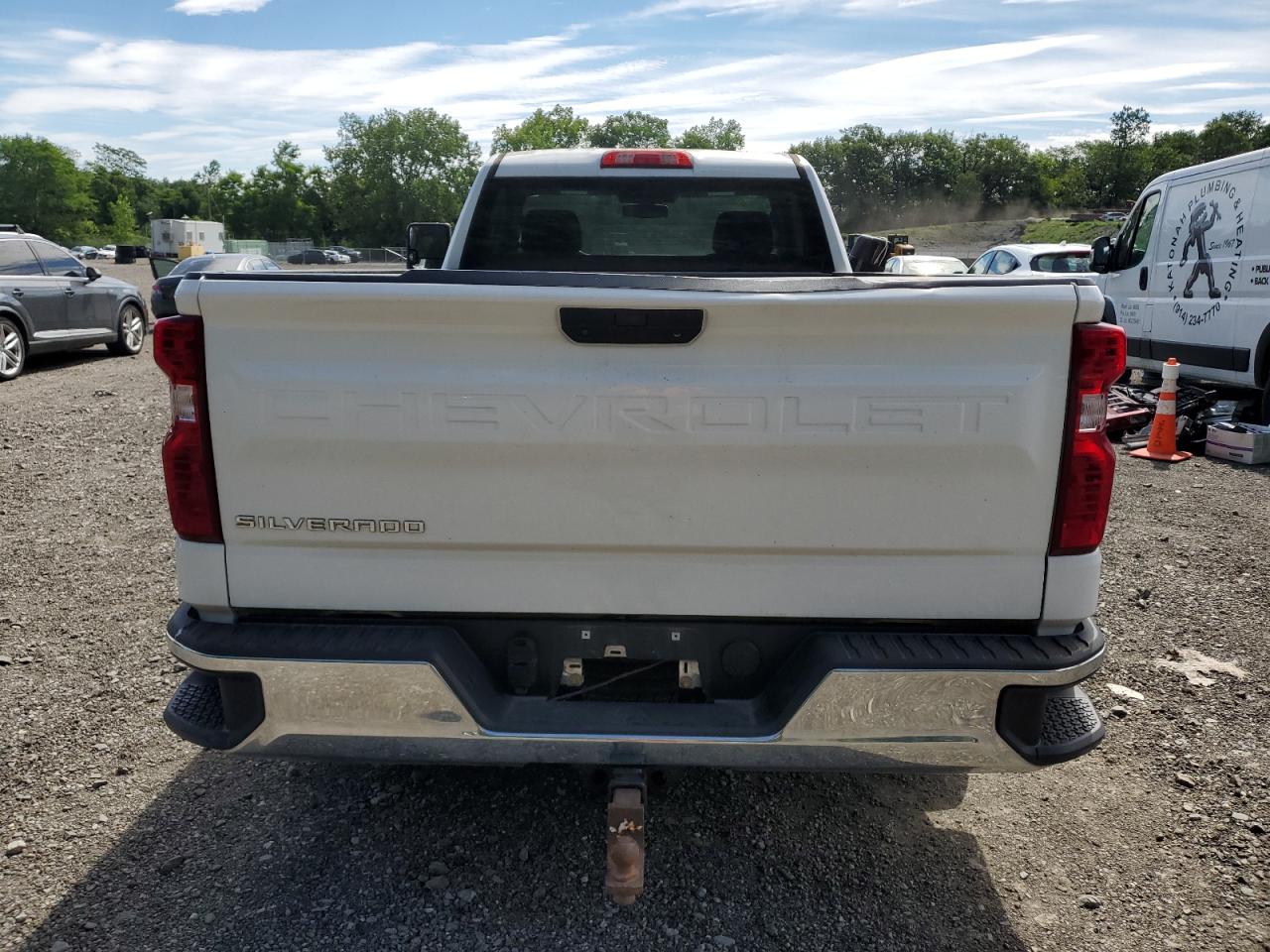 2020 Chevrolet Silverado K1500 VIN: 3GCNYAEF3LG320107 Lot: 65038035
