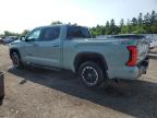 2024 TOYOTA TUNDRA CREWMAX PLATINUM   à vendre chez Copart ON - TORONTO