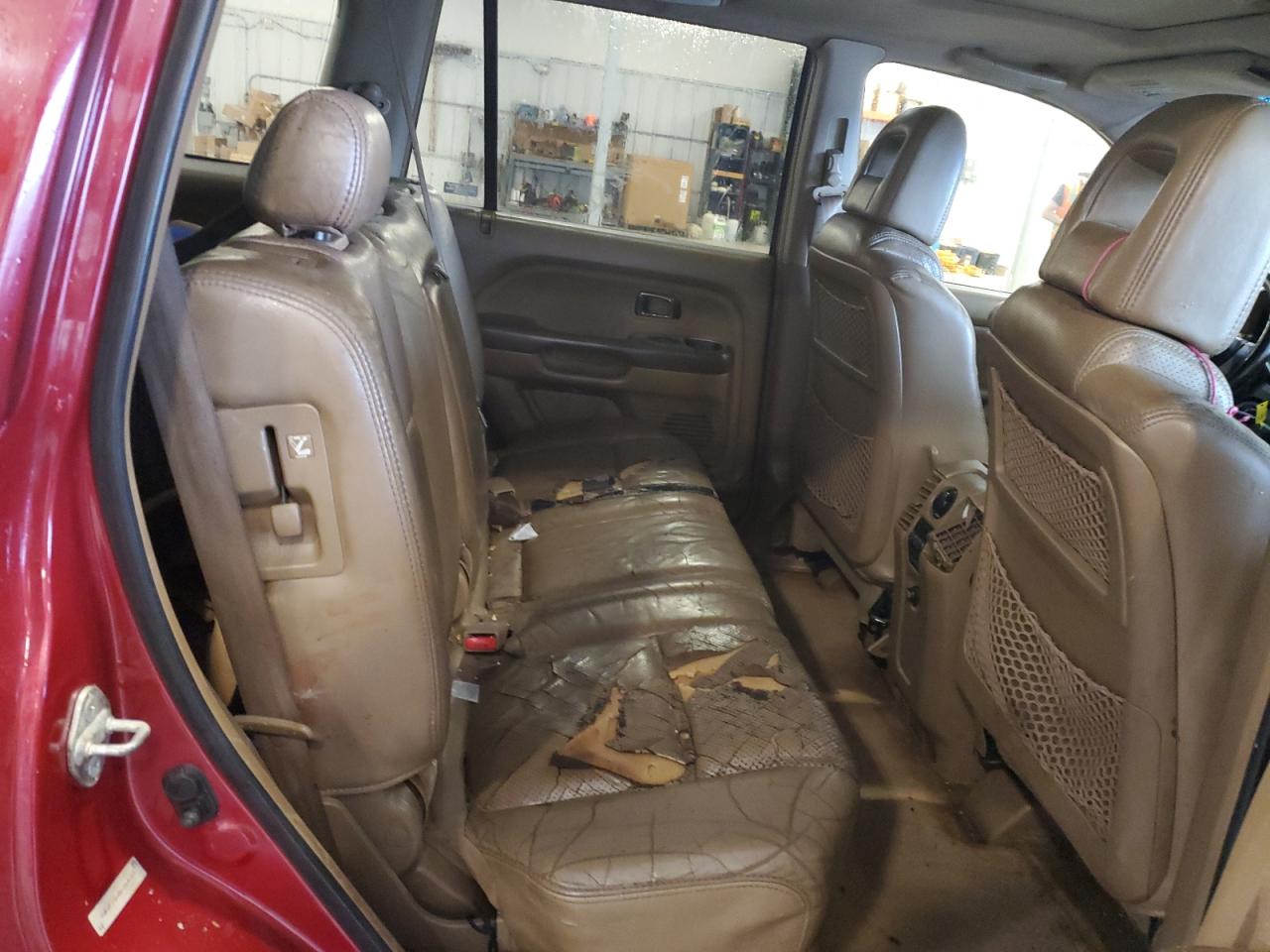 2005 Honda Pilot Exl VIN: 2HKYF18625H564212 Lot: 64763625