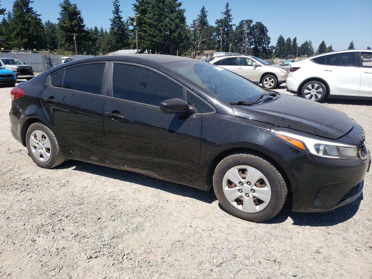 2017 Kia Forte Lx VIN: 3KPFK4A73HE088102 Lot: 66777375