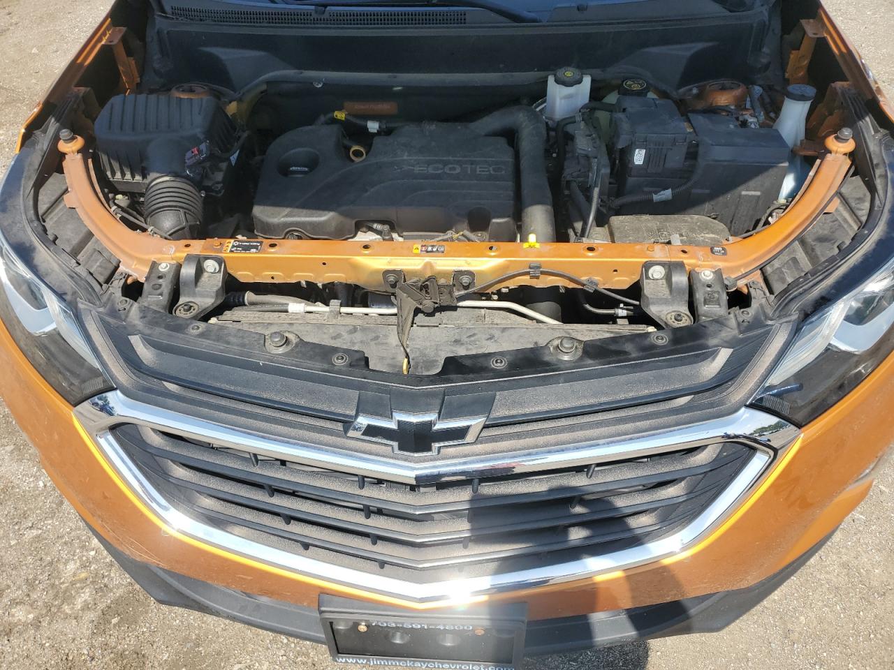 2019 Chevrolet Equinox Ls VIN: 2GNAXHEV9K6220726 Lot: 63707825