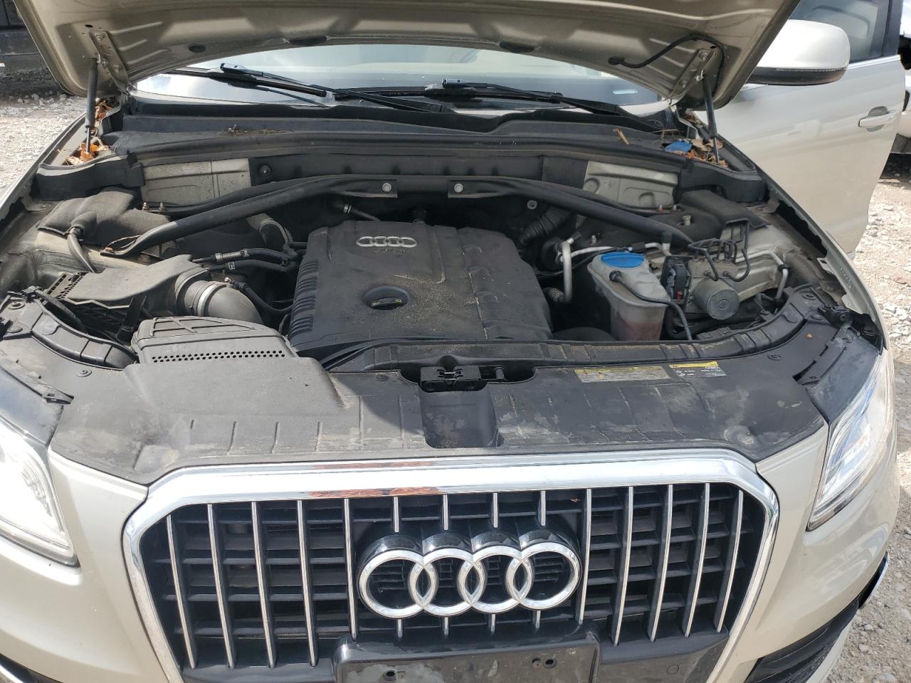 2014 Audi Q5 Premium Plus VIN: WA1LFAFP0EA051791 Lot: 63085915