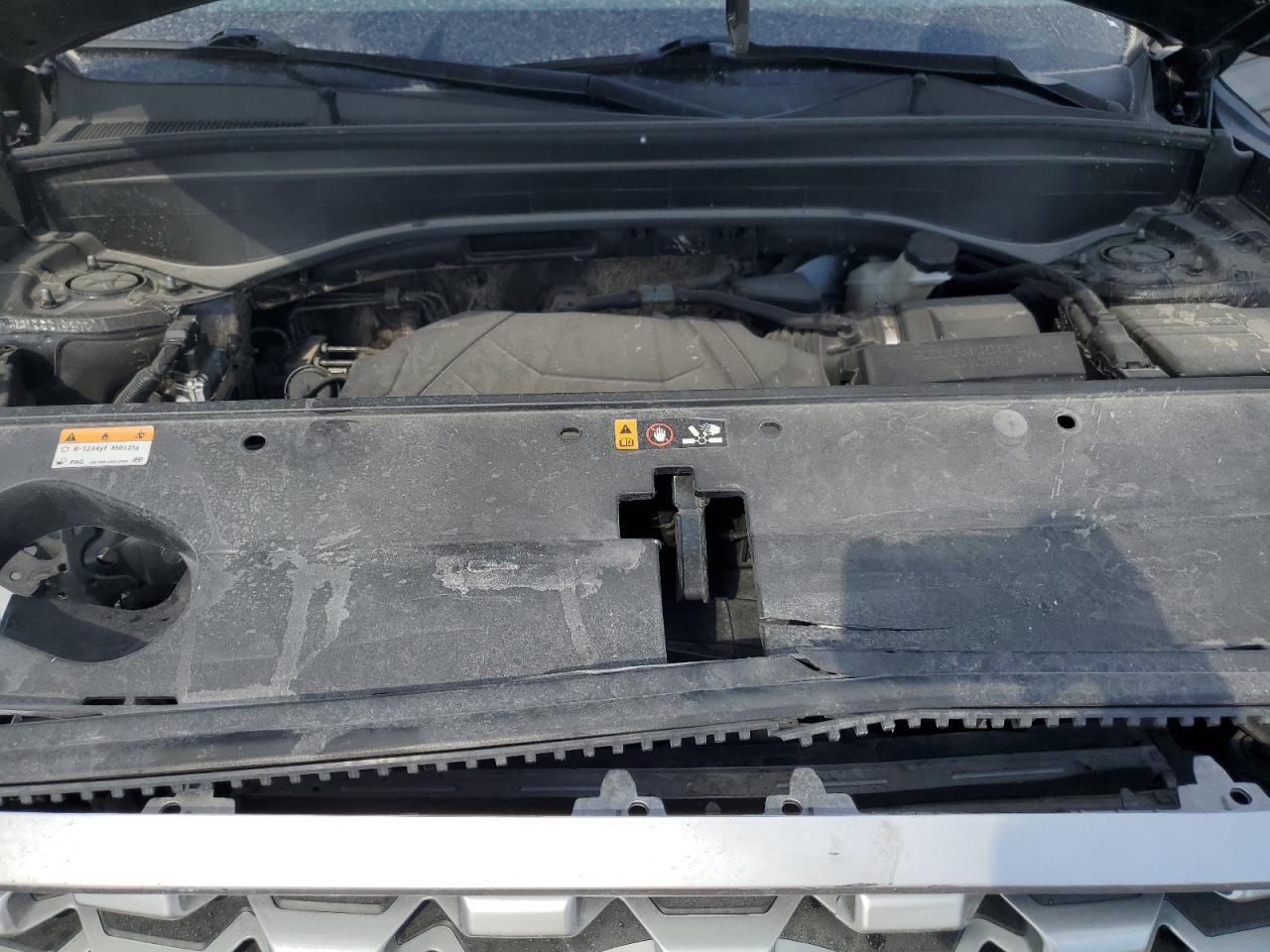 2021 Hyundai Palisade Sel VIN: KM8R3DHE3MU292131 Lot: 64037205