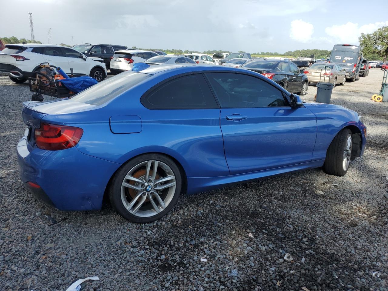 2016 BMW 228 I Sulev VIN: WBA1F9C51GV545567 Lot: 66353665