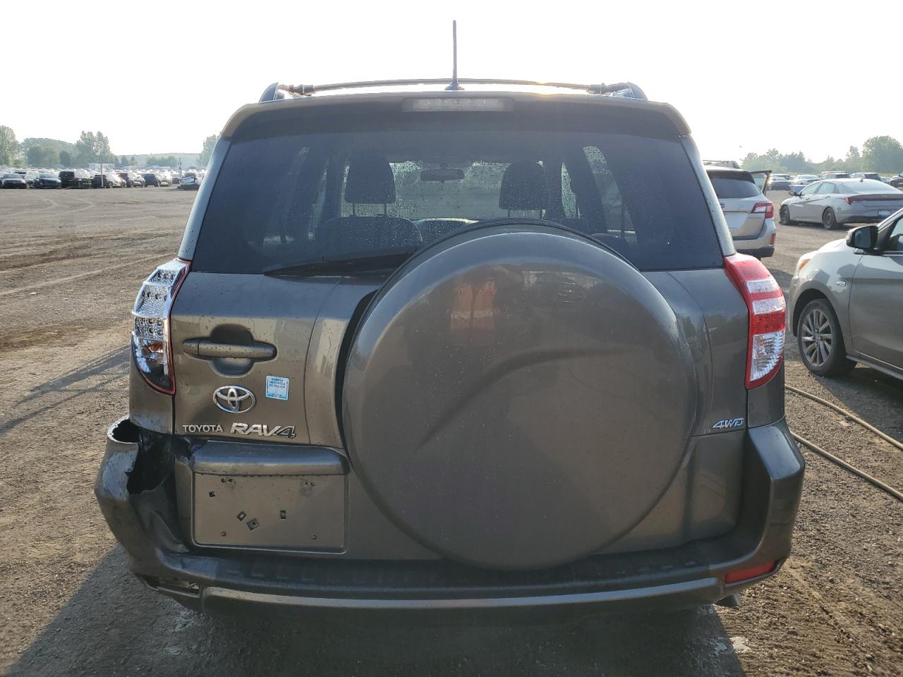 2010 Toyota Rav4 VIN: 2T3BF4DV5AW038020 Lot: 64396535