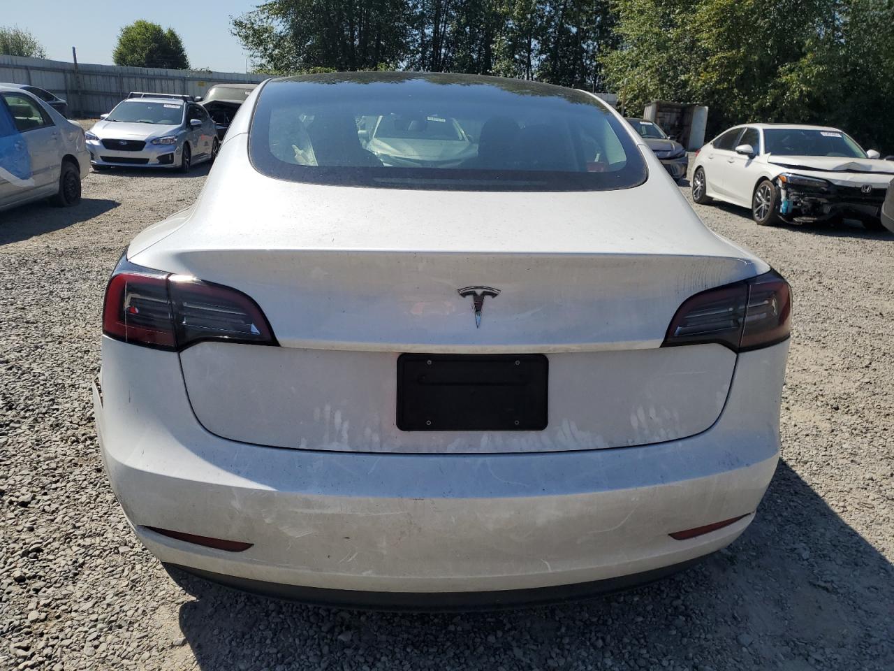 2023 Tesla Model 3 VIN: 5YJ3E1EA6PF513299 Lot: 65276635