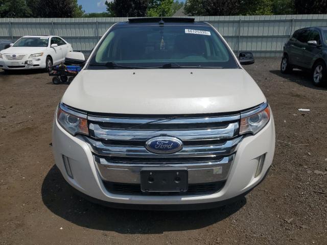  FORD EDGE 2014 White