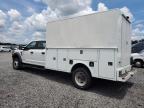 2019 FORD F550 SUPER DUTY   for sale at Copart FL - TAMPA SOUTH