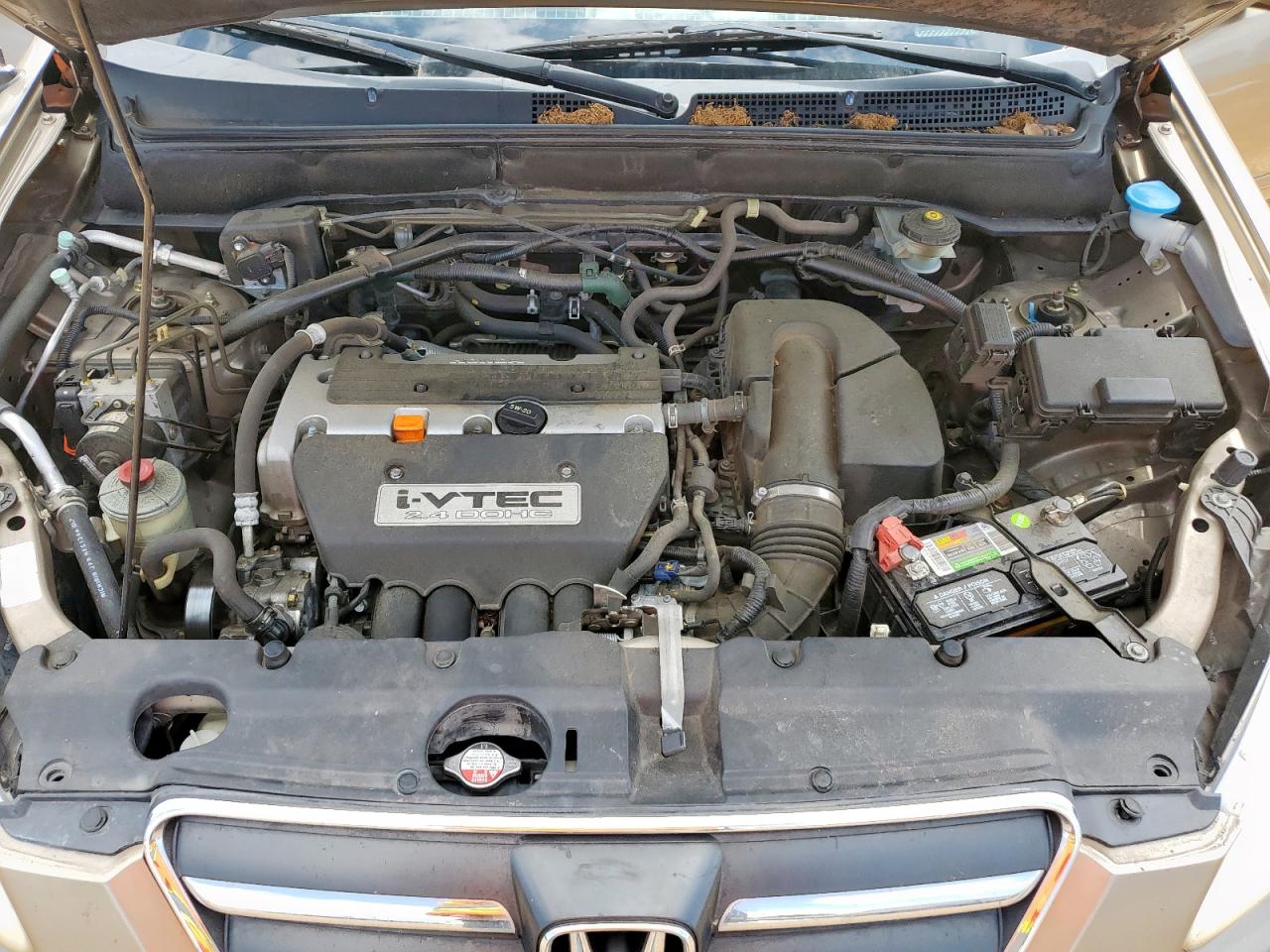 2005 Honda Cr-V Se VIN: JHLRD78965C022312 Lot: 64101025
