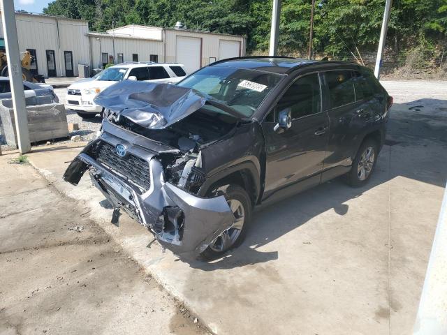  TOYOTA RAV4 2023 Gray