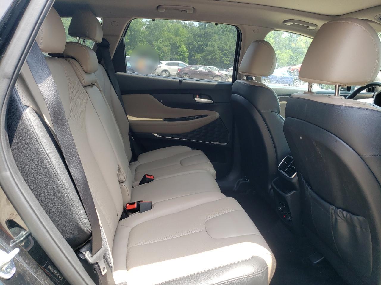 2020 Hyundai Santa Fe Limited VIN: 5NMS5CAD6LH259335 Lot: 62768185