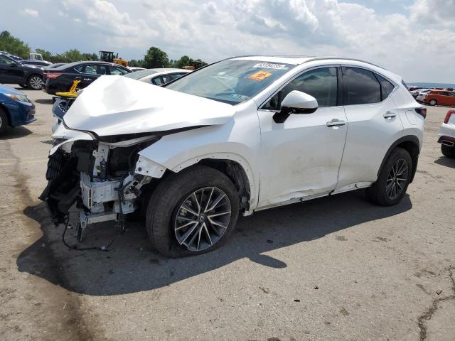 LEXUS NX 250 BAS 2024