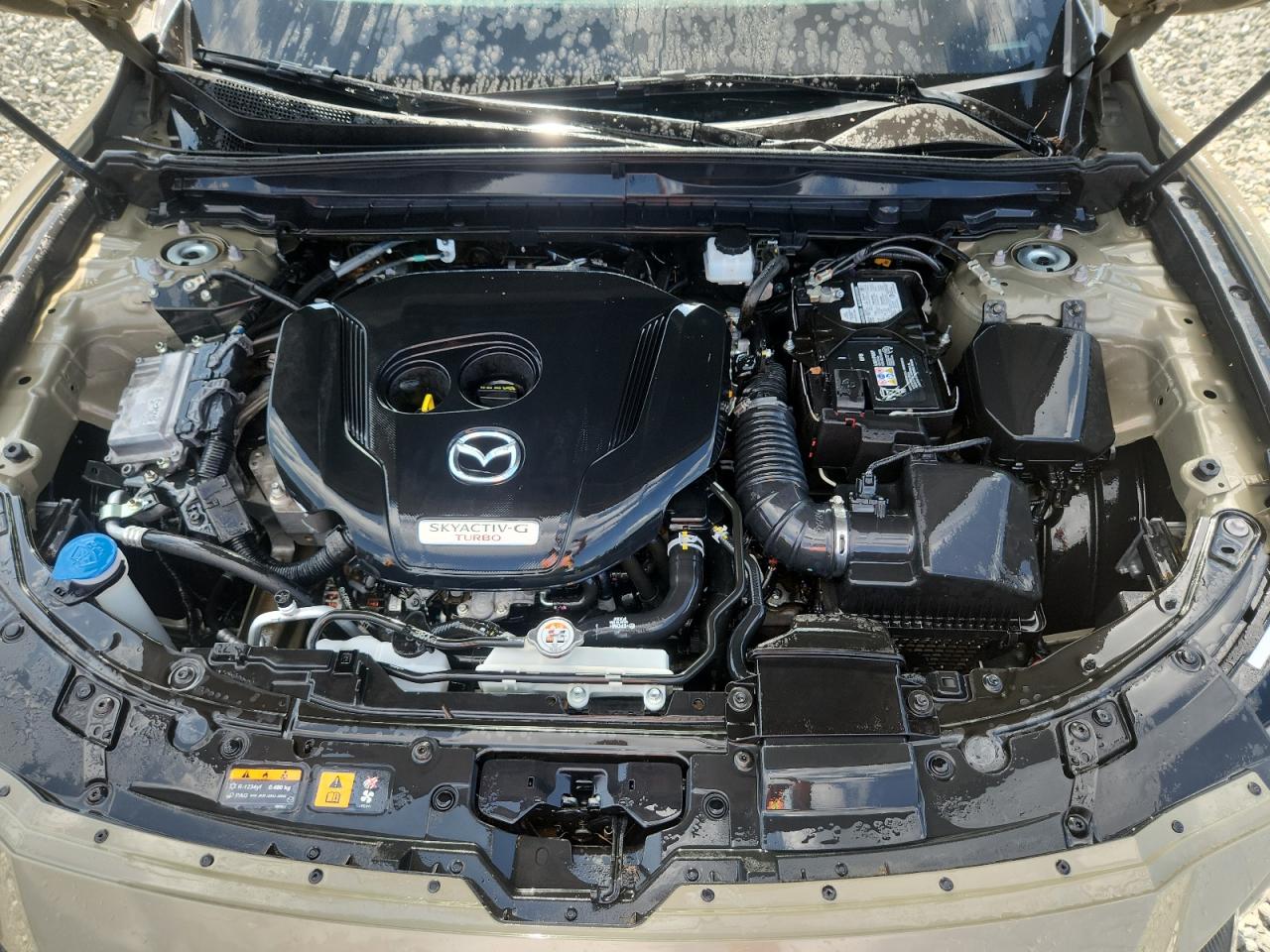 2024 Mazda Cx-50 Premium Plus VIN: 7MMVABEY3RN192253 Lot: 64042215