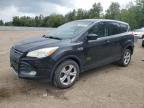 2013 FORD ESCAPE SE   for sale at Copart ON - COOKSTOWN