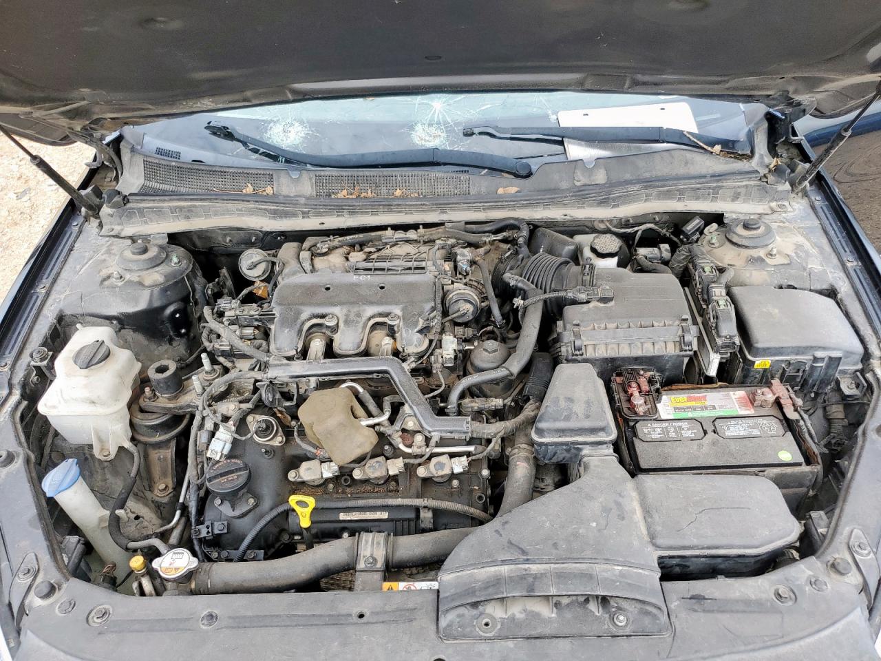 2014 Kia Cadenza Premium VIN: KNALN4D76E5163661 Lot: 63608315